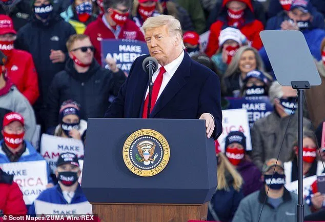 Whitmer appeared on NBC's Meet the Press on Sunday and accused Trump of inciting 'domestic terrorism' after his supporters chanted 'lock her up' at a rally in the state the night before