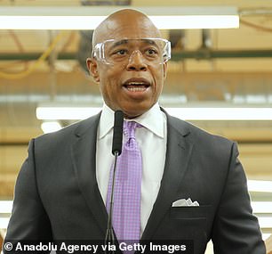 The professor asserted that newly sworn-in Eric Adams could 'help tackle both issues in one bold policy stroke' by approving the plan