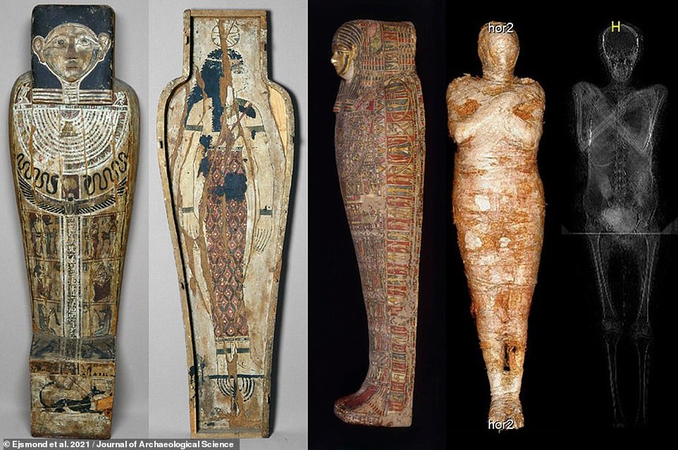 The mummy — believed to be the first embalmed specimen known to contain a foetus — was taken out of Egypt by one Jan Wężyk–Rudzki, who donated the specimen to the University of Warsaw in the December of 1826. Pictured: the Mysterious Lady's coffin (left) cartonnage case (centre) and mummy (right, shown in photograph and X-ray)