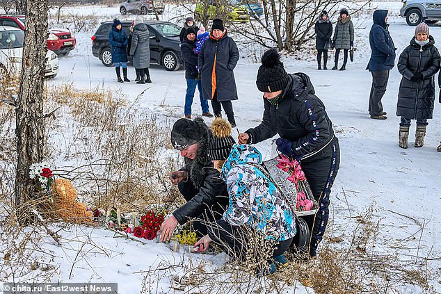 The region's governor Alexander Osipov warned that Russian laws do not allow local officials to destroy or remove stray dogs from communities