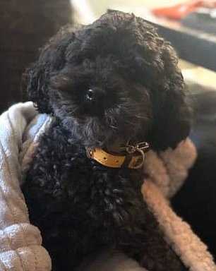 Another photo Antypas received from Alahverdian