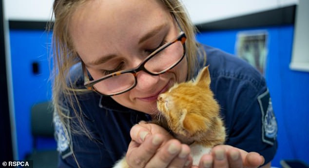 'Charlie' defied the odds and has since made a full recovery following the horrific attack