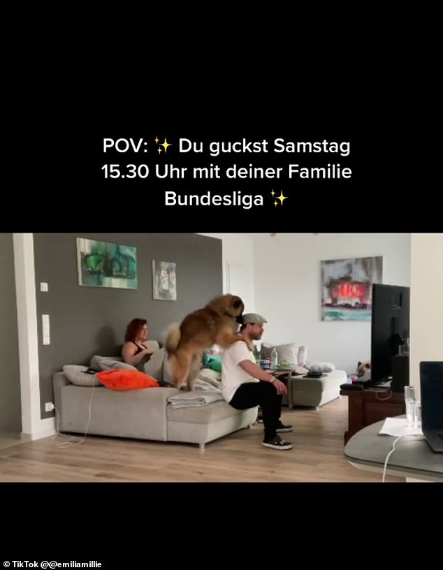 At one point the family dog puts their paws on his shoulders in an effort to calm him down