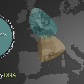 Ancestry.com under fire as an update to its database drastically changes the ethnicity of many users
