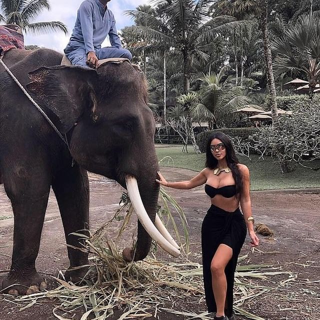 Vegans of Australia slam Kim Kardashian for posing with a rescue elephant